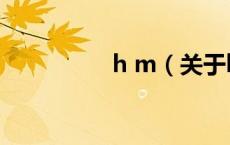 h m（关于h m的介绍）