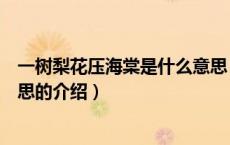 一树梨花压海棠是什么意思（关于一树梨花压海棠是什么意思的介绍）