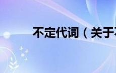 不定代词（关于不定代词的介绍）