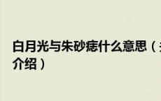 白月光与朱砂痣什么意思（关于白月光与朱砂痣什么意思的介绍）
