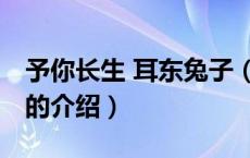 予你长生 耳东兔子（关于予你长生 耳东兔子的介绍）