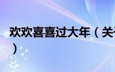 欢欢喜喜过大年（关于欢欢喜喜过大年的介绍）