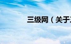 三级网（关于三级网的介绍）