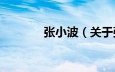 张小波（关于张小波的介绍）