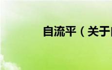 自流平（关于自流平的介绍）