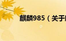 麒麟985（关于麒麟985的介绍）