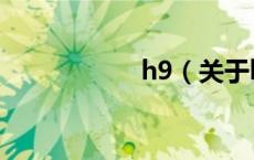 h9（关于h9的介绍）