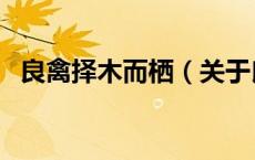 良禽择木而栖（关于良禽择木而栖的介绍）