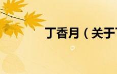 丁香月（关于丁香月的介绍）