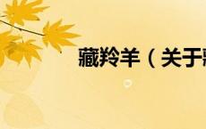 藏羚羊（关于藏羚羊的介绍）