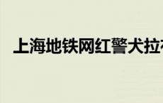 上海地铁网红警犬拉布拉多（上海地铁网）