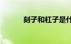 刻子和杠子是什么意思（刻子）