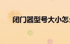 闭门器型号大小怎么看（闭门器型号）