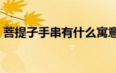 菩提子手串有什么寓意与功效（菩提子手串）