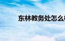 东林教务处怎么样（东林教务处）