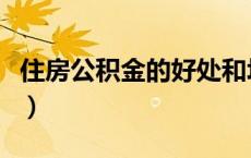 住房公积金的好处和坏处（住房公积金的好处）