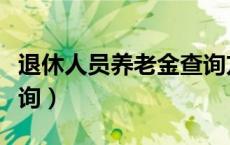 退休人员养老金查询方式（退休人员养老金查询）