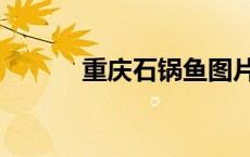 重庆石锅鱼图片（石锅鱼图片）