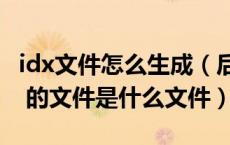 idx文件怎么生成（后缀为 ldquo idx rdquo 的文件是什么文件）