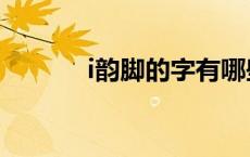 i韵脚的字有哪些（i韵脚的字）