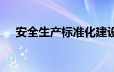 安全生产标准化建设的总体要求是什么?
