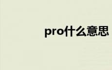 pro什么意思（pl什么意思）