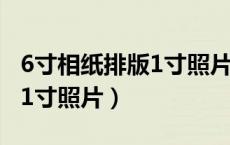 6寸相纸排版1寸照片能排几张（6寸相纸排版1寸照片）