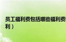 员工福利费包括哪些福利费和福利（员工福利费包括哪些福利）