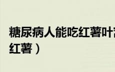 糖尿病人能吃红薯叶窝窝头吗（糖尿病人能吃红薯）