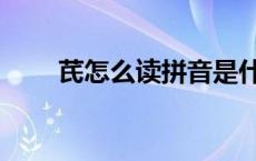 芪怎么读拼音是什么字（芪怎么读）