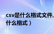 csv是什么格式文件,怎么用手机打开（csv是什么格式）