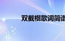双截棍歌词简谱（双节棍歌词）