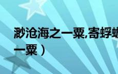 渺沧海之一粟,寄蜉蝣于天地拼音（渺沧海之一粟）