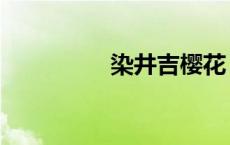 染井吉樱花（樱井织香）
