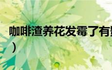 咖啡渣养花发霉了有影响吗（咖啡渣可以养花）