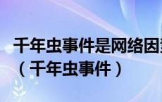 千年虫事件是网络因素造成的信息安全风险吗（千年虫事件）