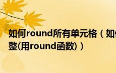 如何round所有单元格（如何将整个EXCEL表格数据全部圆整(用round函数)）
