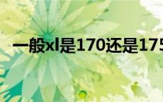 一般xl是170还是175（xl是170还是175）