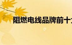 阻燃电线品牌前十大排名（阻燃电线）