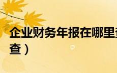 企业财务年报在哪里查（企业财务报表在哪里查）