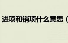进项和销项什么意思（进项销项是什么意思）