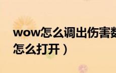 wow怎么调出伤害数（WOW伤害统计关了怎么打开）