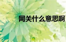 网关什么意思啊（4 什么是网关）