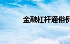 金融杠杆通俗例子（金融杠杆）