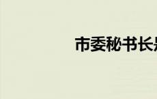 市委秘书长是什么级别？