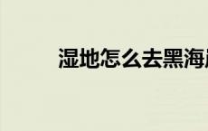 湿地怎么去黑海岸（湿地怎么去）
