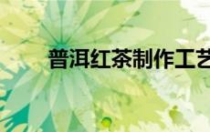 普洱红茶制作工艺流程（普洱红茶）