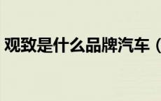 观致是什么品牌汽车（观致是什么品牌的车）
