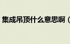 集成吊顶什么意思啊（集成吊顶是什么意思）