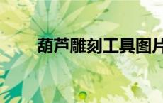 葫芦雕刻工具图片（葫芦雕刻工具）